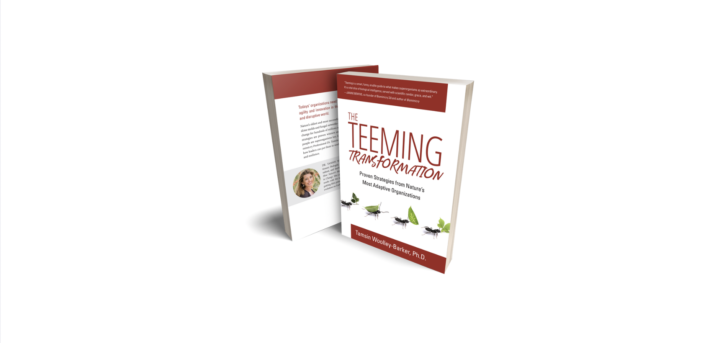 The TEEMING Transformation Audiobook is here!