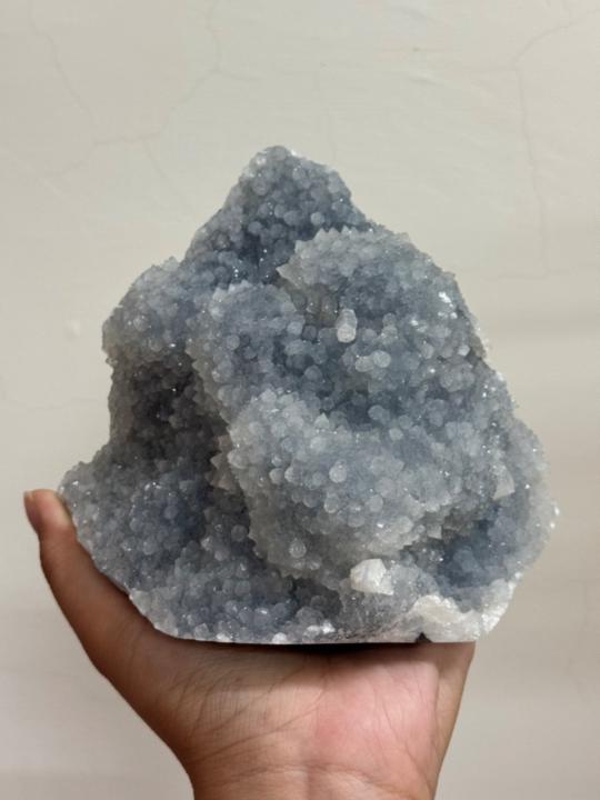 朱 敏綸