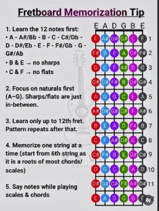 Para ignorantes musicales como yo