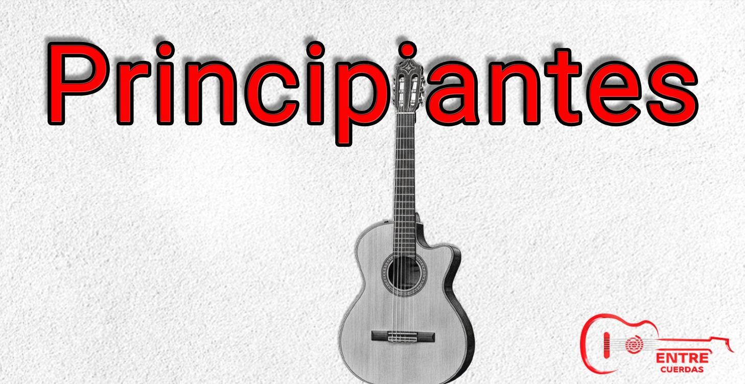 🟢 Paso a paso para principiantes 🟢