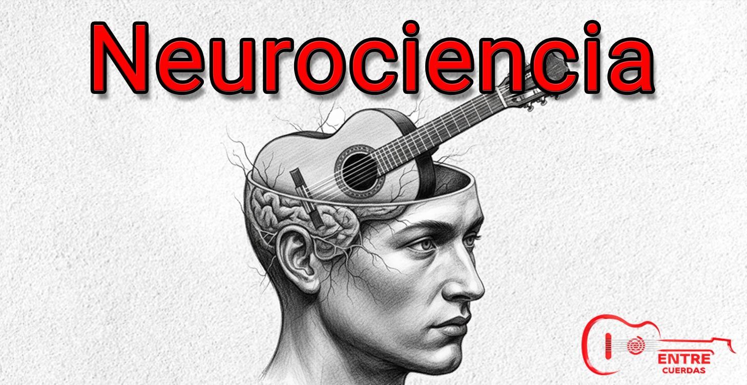 🟢 Neurociencia aplicada a la guitarra