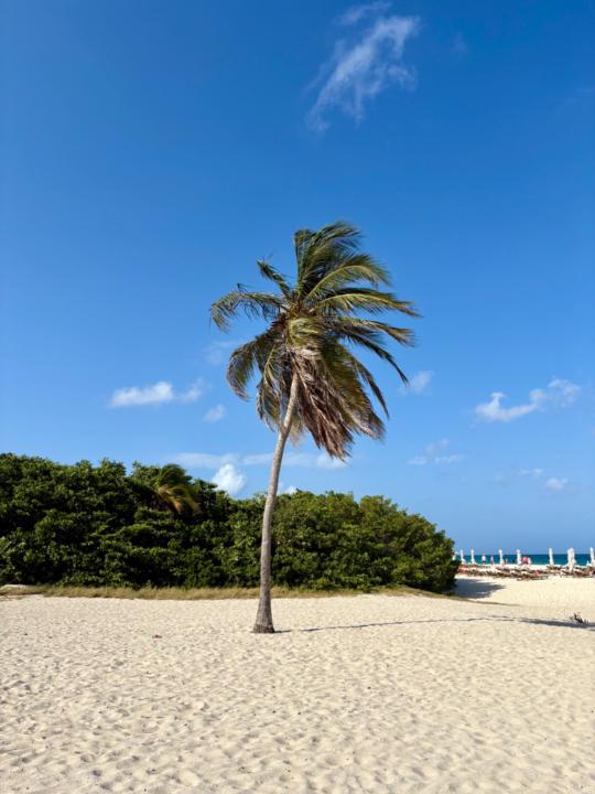 Xiomara Arends-Gomez