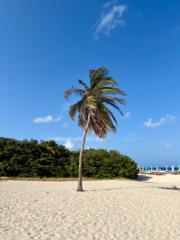 Xiomara Arends-Gomez