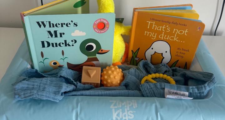 Baby & Toddler Play Ideas