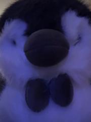 A W
