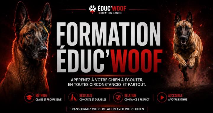 EDUCWOOF