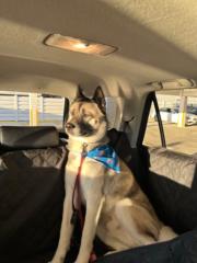 Waldemar Martinez Areche