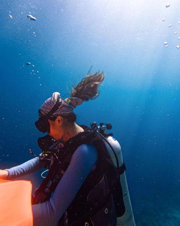 Shine 馬爾地夫職涯教練
