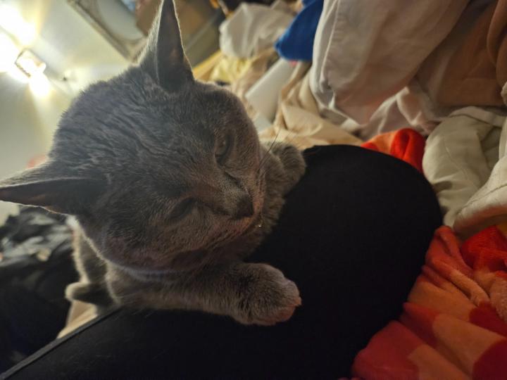 Flavie Lola