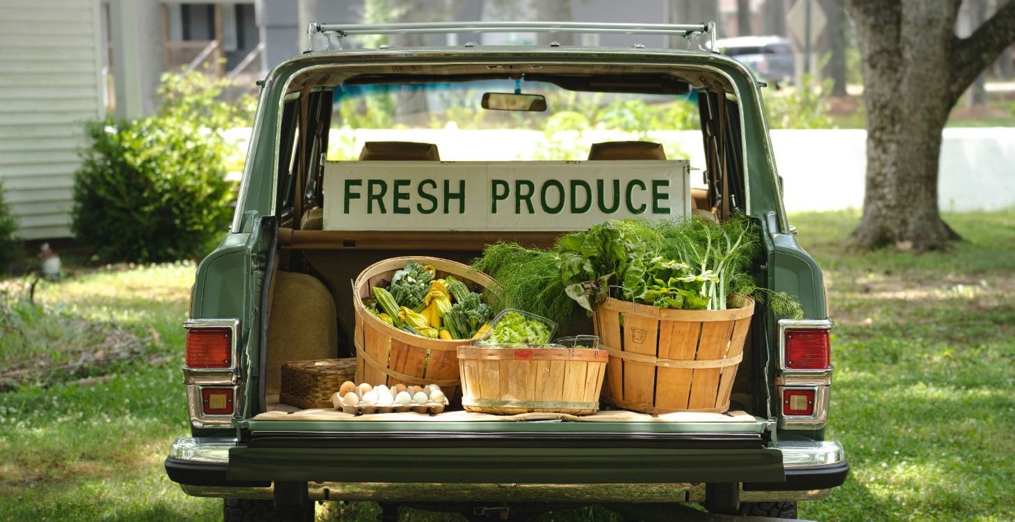 Wellness Lifestyle Training