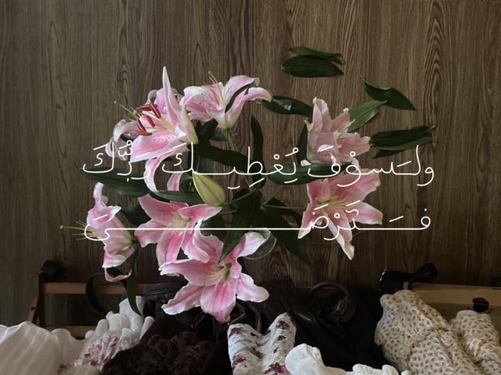 Nour Obeidat