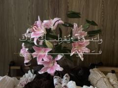 Nour Obeidat