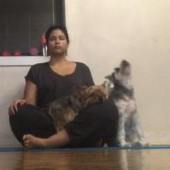 Lauren Villavicencio