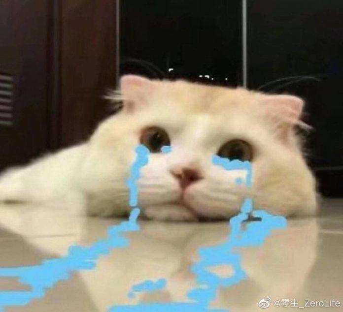 Không biết công việc đầu tiên kiếm được tiền của mọi người là gì nhỉ?