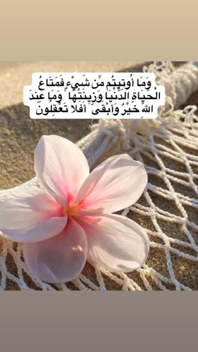 Sahar medani ahmed Osman