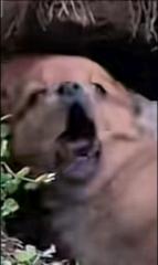 Elías Otalvaro Usuga