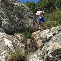 Sebastian Esteche