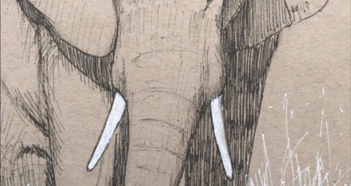 Schaefer Art Academy 