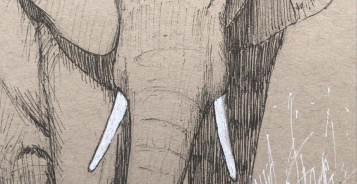 Inner circle (PRIVATE) 🔒