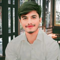 MD sajid Ansari