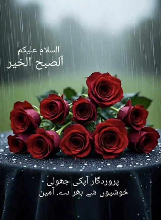 Ismail Ghazi