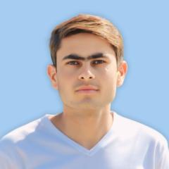 Muhammad Ismail