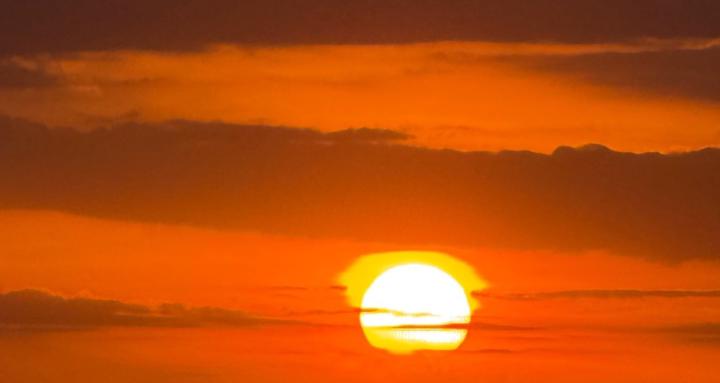 Narcissist Whisperer’s Group