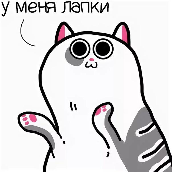 Ася Тараненко