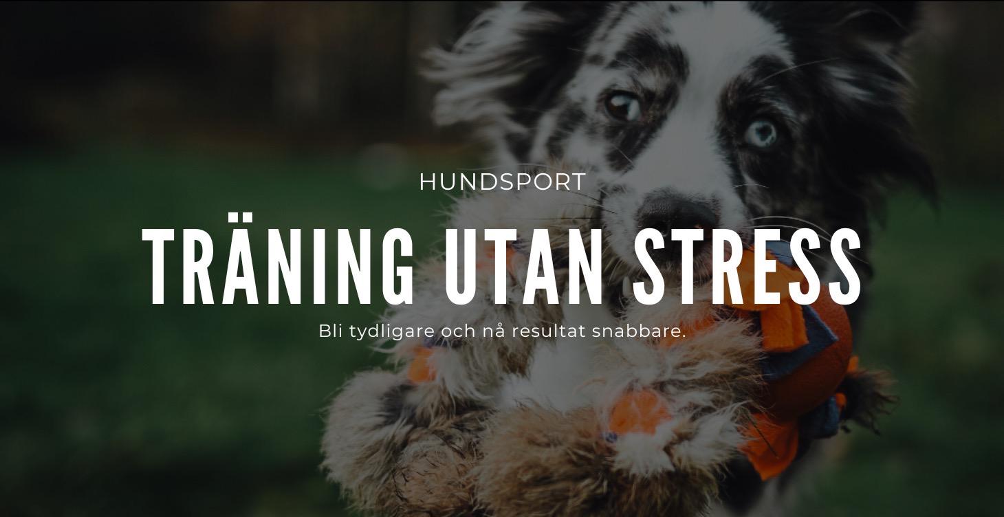 Träning utan stress