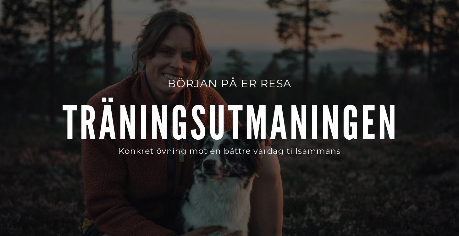Träningsutmaningen