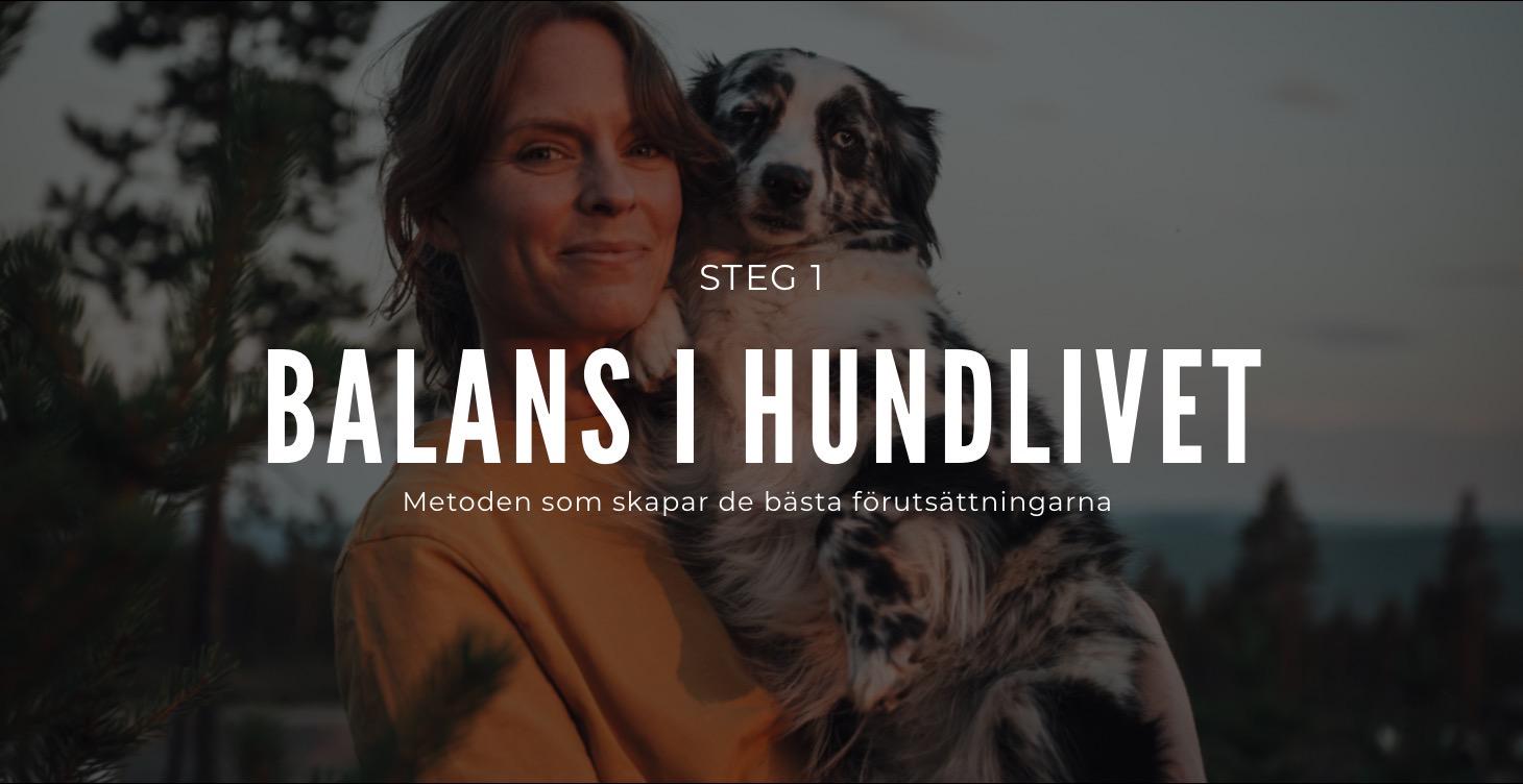 Metoden för balans i hundlivet