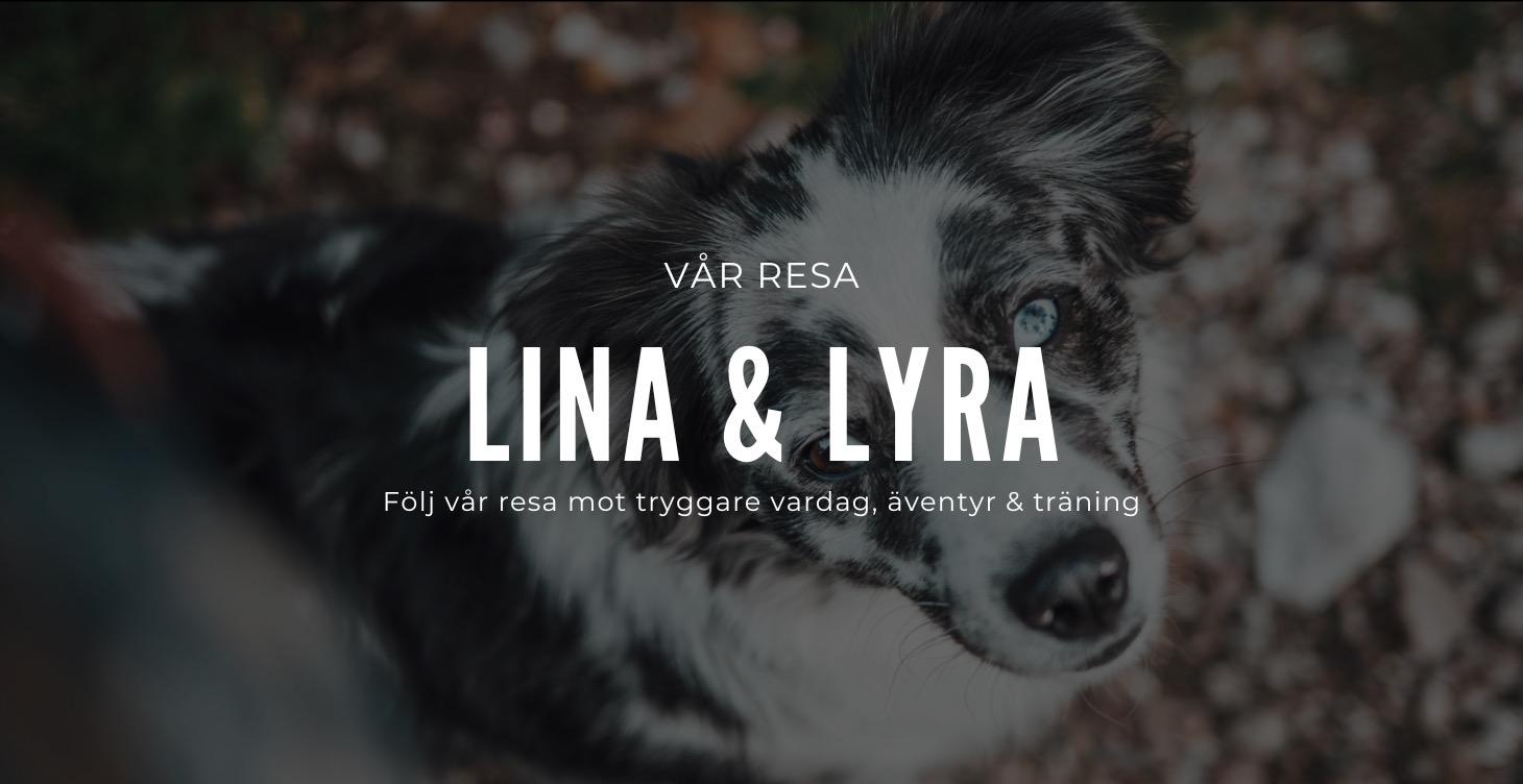 Träning med Lyra