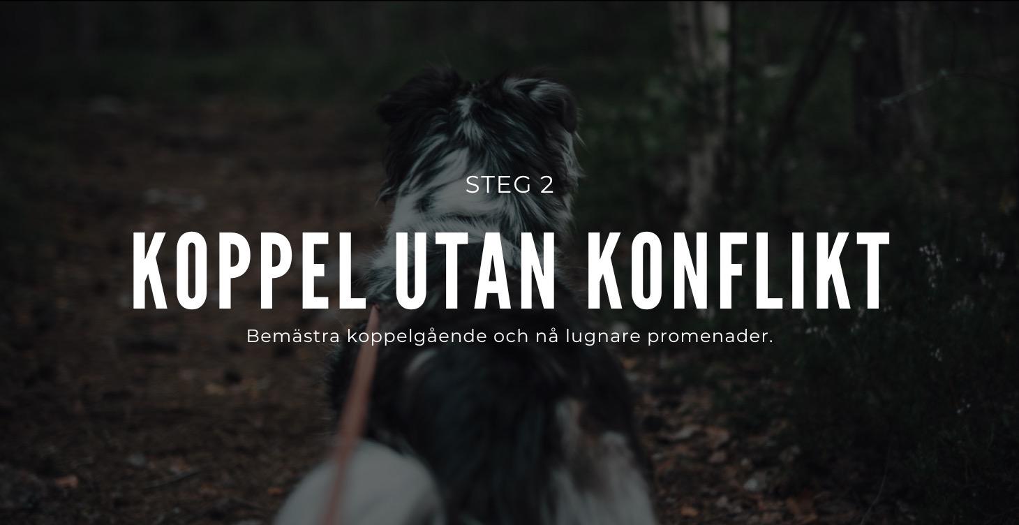 Koppel utan konflikt