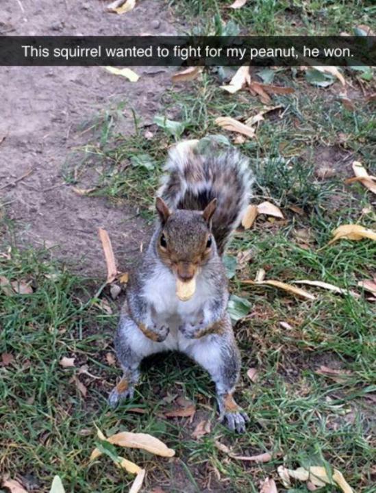 Kimberly Carlson-Jessup