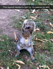 Kimberly Carlson-Jessup