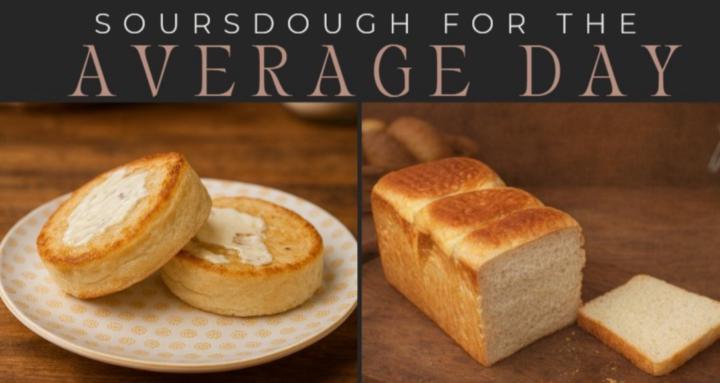 Sourdough for the Average Day