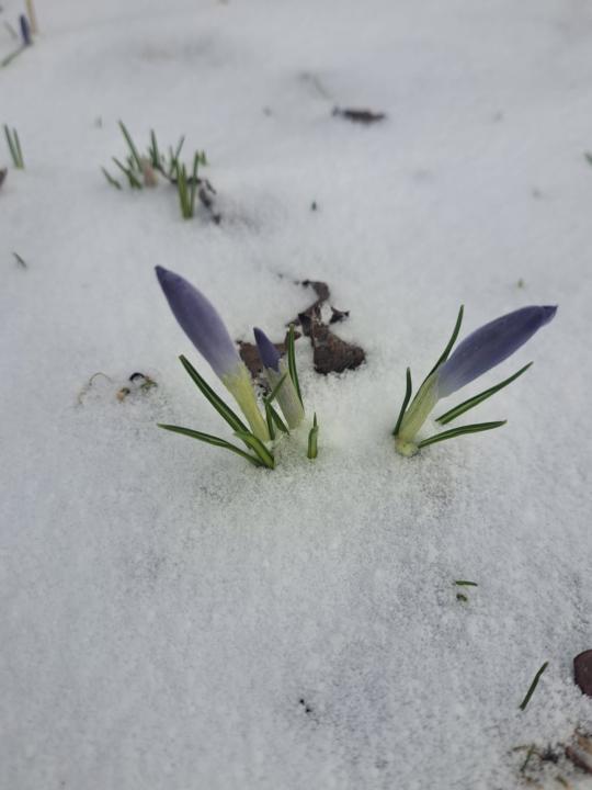 March Weather in Bruce County Ontario