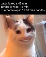M M