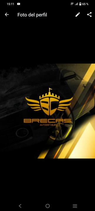 Breyner Castillo Fernández