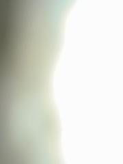 Admin Test