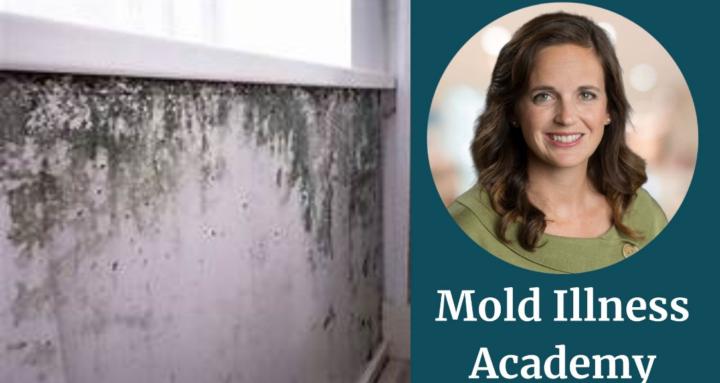Mold Illness Academy