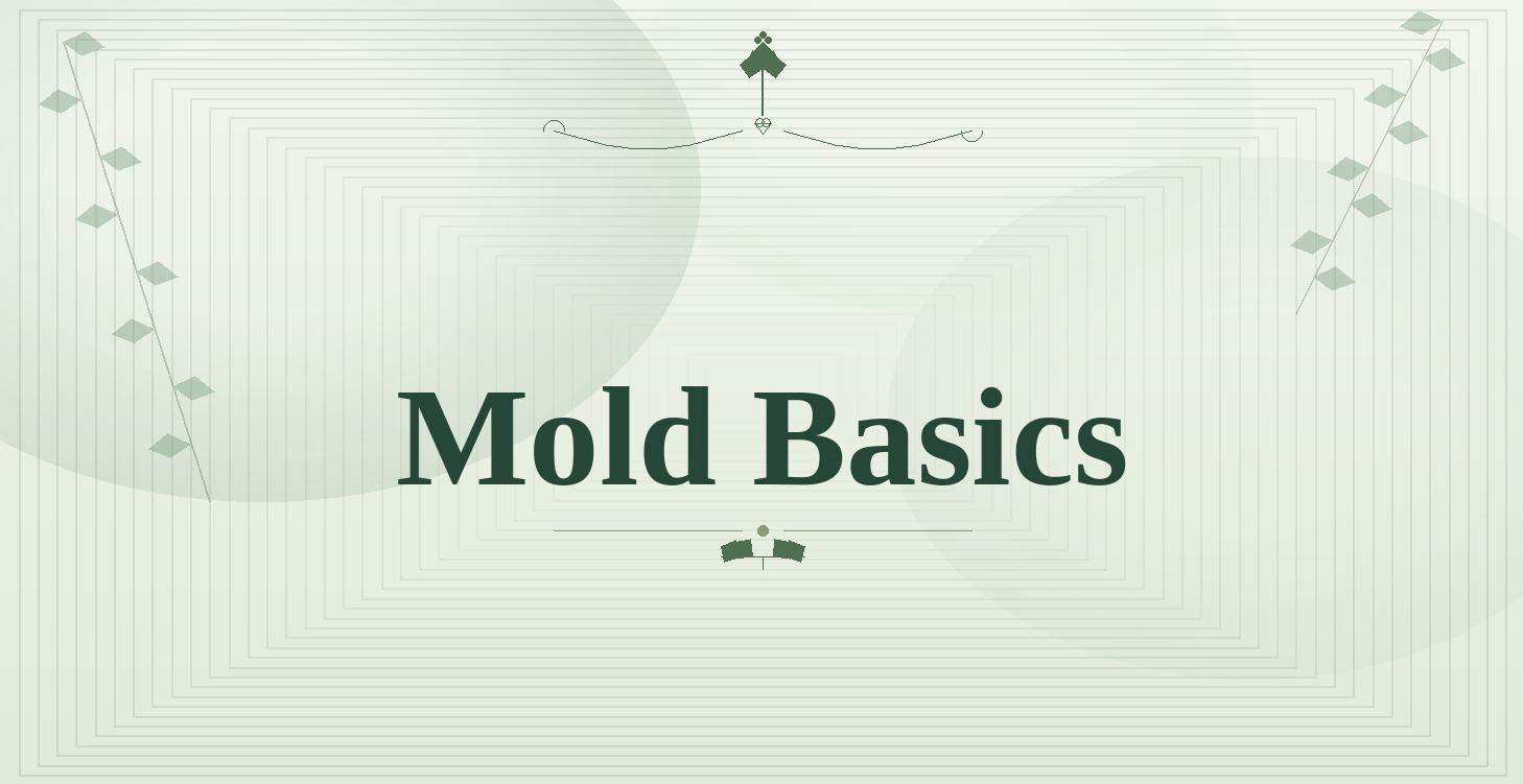Basics of Mold (Free)