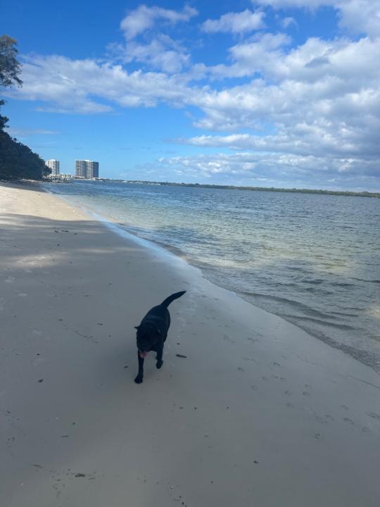 Emily Steffen- Finch