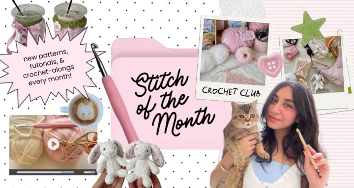 Stitch of the Month