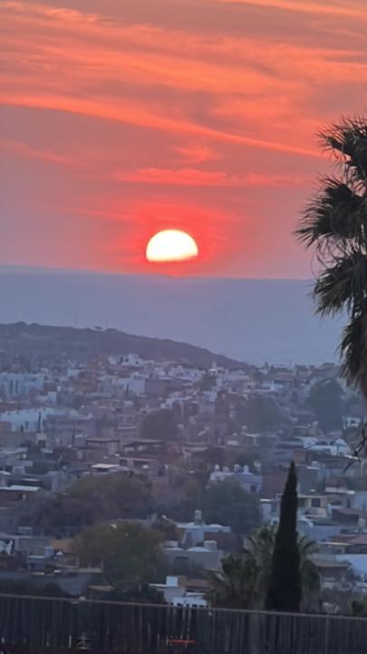 Leticia Gonzalez Gonzalez