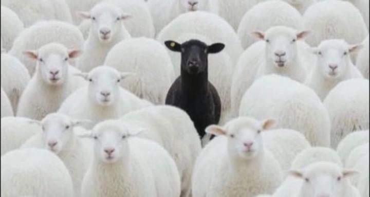 💰The Nail Juice Academy💅🏽