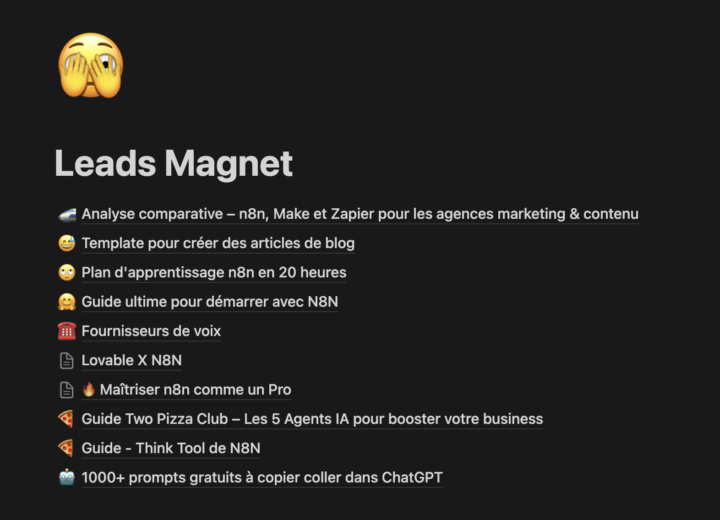 On offre le lien vers tous les leads magnet que l'on a créé
