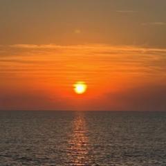 Anna Carcelero Martorell