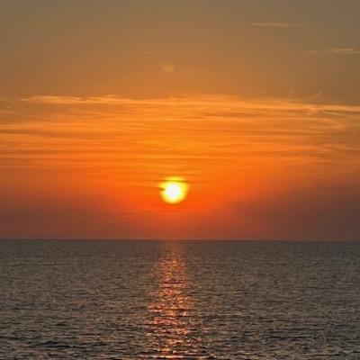 Anna Carcelero Martorell