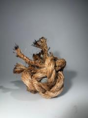 Connor Hyndman
